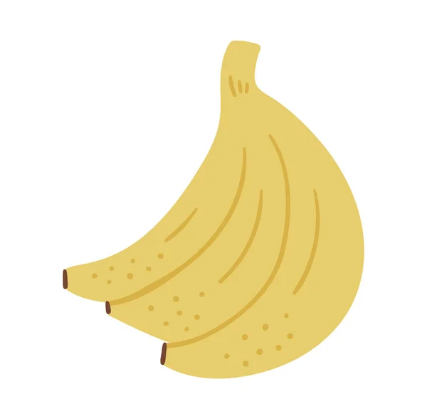Векторний Тропічний Банановий Кліпарт Ілюстрація Листя Джунглів Рука Намальована Плоска — стоковий вектор
