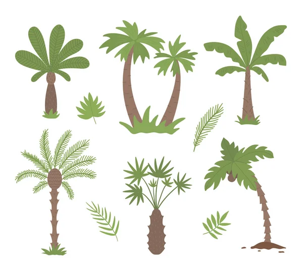 Clip Art Vectoriel Palmiers Tropicaux Illustration Feuillage Jungle Plantes Exotiques — Image vectorielle