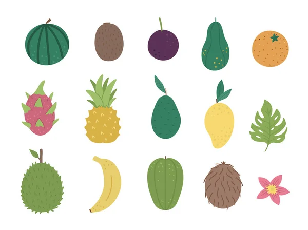 Vektor Trópusi Gyümölcs Bogyók Clip Art Dzsungel Lombozat Illusztráció Kézzel — Stock Vector
