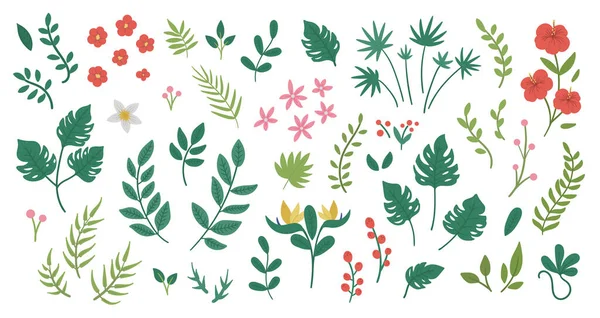 Vektorové Tropické Květy Listů Větviček Klip Art Lístek Džungle Květinové — Stockový vektor