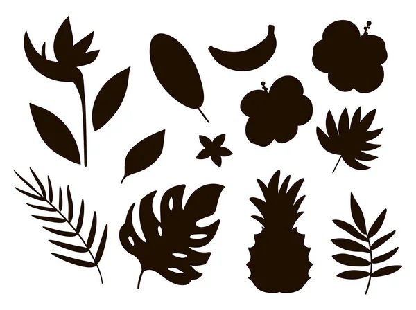 Vecteur Fruits Tropicaux Fleurs Feuilles Silhouettes Feuillage Jungle Florales Illustration — Image vectorielle