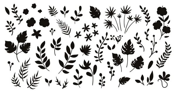 热带矢车菊叶和小枝的轮廓 丛生叶和花的黑色插图 手绘扁平的异国情调植物 背景为白色 儿童夏季绿树成荫 — 图库矢量图片
