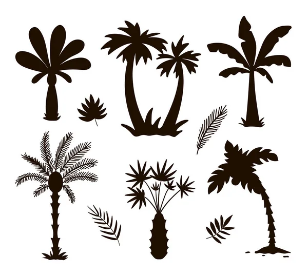 Silhouettes Vectorielles Palmiers Tropicaux Illustration Jungle Foliage Noir Plantes Exotiques — Image vectorielle