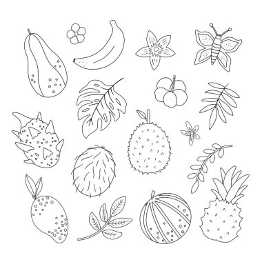 Vector tropical fruit, flowers and leaves outlines. Jungle foliage and florals black and white illustration. Hand drawn flat exotic plants isolated on white background. Summer greenery desig vector