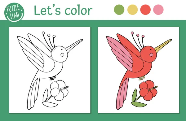 Tropische Kleurplaten Voor Kinderen Printen Online Vector Kolibrie Met Bloemillustratie — Stockvector