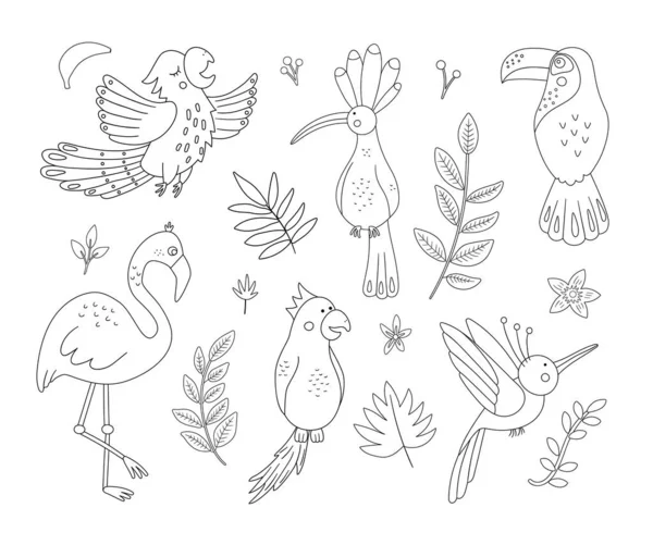 Vector cute exotic birds, leaves, flowers outlines. Funny tropical animals and plants black and white illustration. Jungle summer sketc