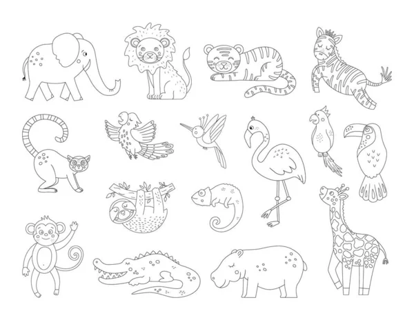 Vector cute exotic animals and birds outlines. Funny tropical black and white illustration. Jungle summer sketc