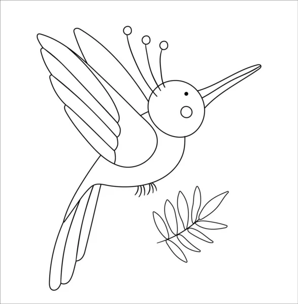 矢量可爱的天堂鸟轮廓 有趣的热带异国动物黑色和白色插图 为儿童设计有趣的彩色页面 丛林里的夏装 — 图库矢量图片