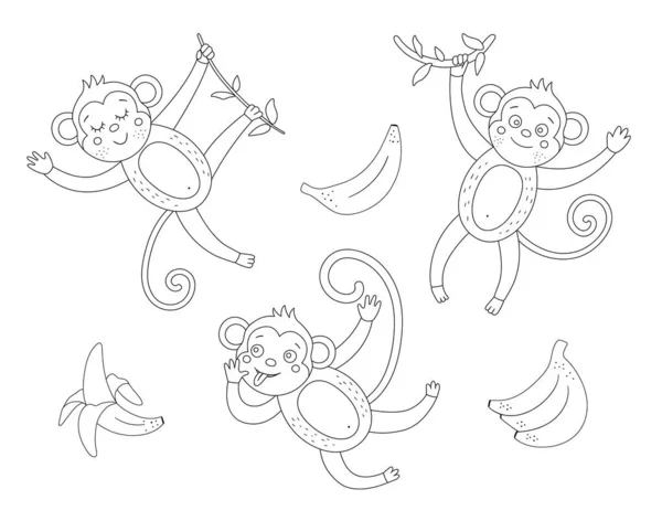 Macaco Bonito Dos Desenhos Animados Que Pendura Para Baixo De Uma  Ilustração Infantil Do Vetor Da Liana. Animal Engraçado Do Macaco Da Selva.  Royalty Free SVG, Cliparts, Vetores, e Ilustrações Stock. Image