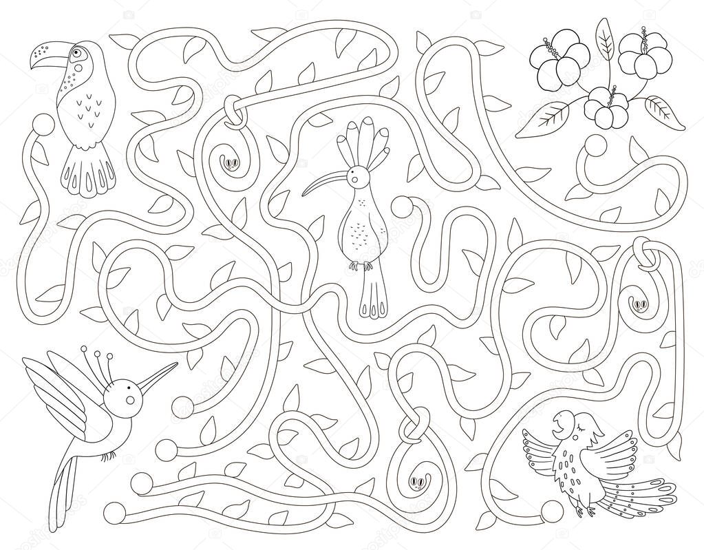 Download Tropical Black And White Maze For Children Preschool Exotic Activity Funny Jungle Puzzle With Cute Parrot Hoopoe And Toucan Help The Bird Get To The Flowers Game Fun Coloring Page For