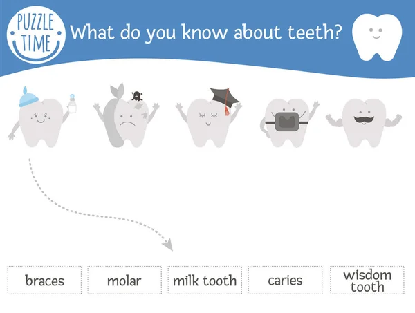 Οδοντιατρική Φροντίδα Ταιριάζουν Δραστηριότητα Χαριτωμένα Δόντια Και Ονόματά Τους Προσχολική — Διανυσματικό Αρχείο