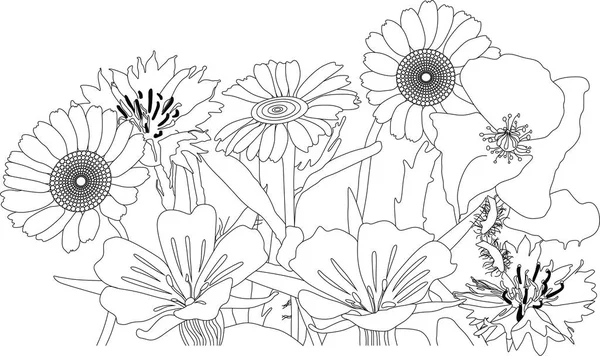 The flowers from a coloring book