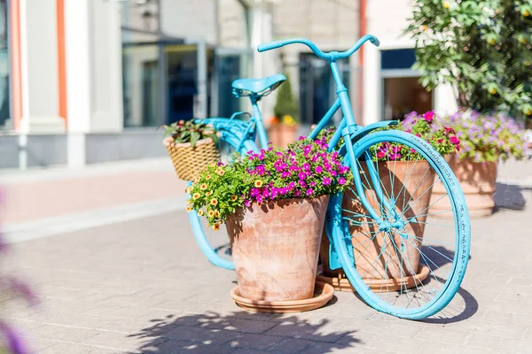 Niebieski Rower Podwórko Europa Kwiaty Doniczkowe Lato Dzień — Zdjęcie stockowe