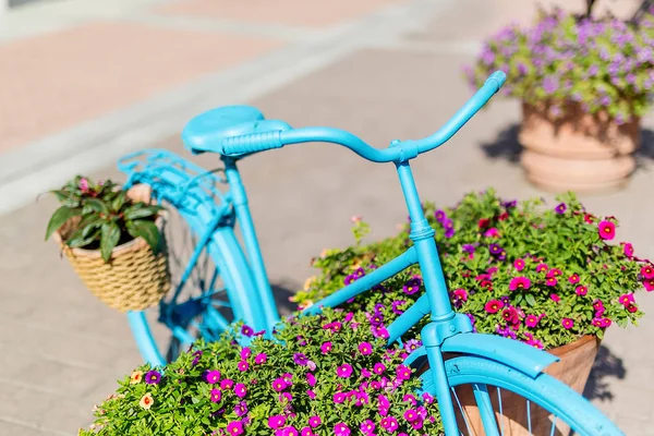 Голубой Велосипед Двор Европа Горшечные Цветы Лето День — стоковое фото
