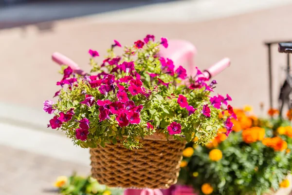 Europe Street Shops Blumen Fahrräder Schließen Bis Tag Sonnig — Stockfoto
