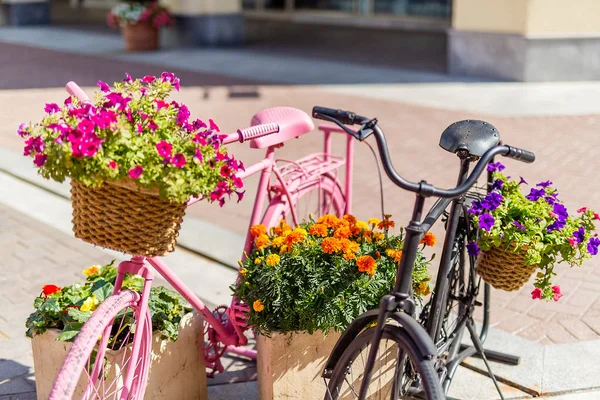 Europe Street Shops Blumen Fahrräder Schließen Bis Tag Sonnig — Stockfoto