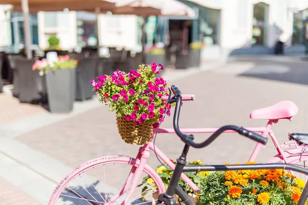Europe street shops flowers bicycles close - up day Sunny