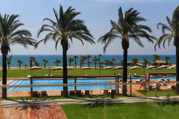 Yüzme havuzlu otel alanları, açık mavi deniz ve ağaçlar, yaz güneşli gün palmiyeleri ve kum.