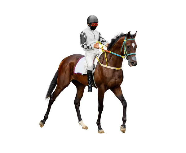 Yarış Arka Plan Atlar Yarış Pisti Beyaz Arka Planda Izole — Stok fotoğraf