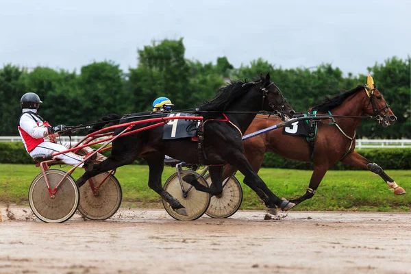 Stock image race horses jockey river horse racing racetrack run by two, sports with horses