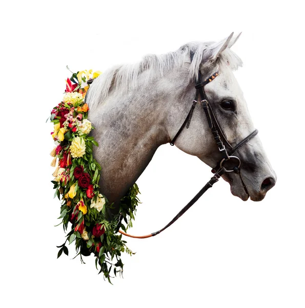 Portrait Cheval Gagnant Blanc Avec Une Couronne Fleurs Isolées Sur — Photo