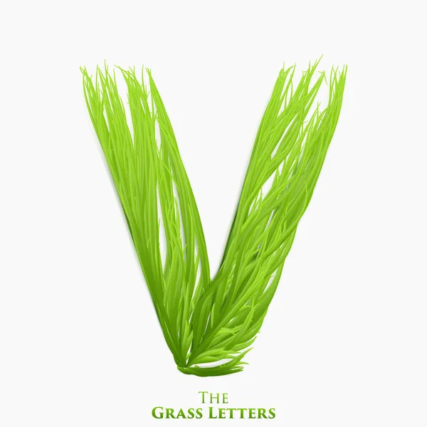 Lettera Vettoriale Dell Alfabeto Erba Succosa Verde Simbolo Costituito Erba — Vettoriale Stock