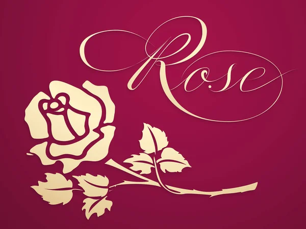Elegante Elemento Grafico Rosa Dorata Vettoriale Con Scritte Rosa Bella — Vettoriale Stock