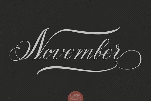 Handritat Brev November Elegant Modern Handskriven Kalligrafi Vektorbläckillustration Typografi Affisch — Stock vektor