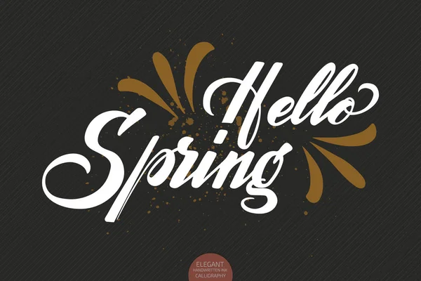 Hand Drawn Lettering Hello Spring Elegant Modern Handwritten Calligraphy Vector — Stock Vector