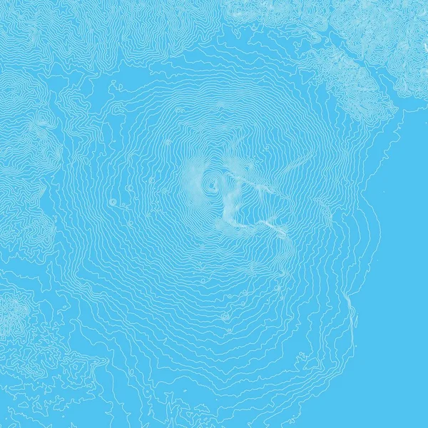 Carte Vectorielle Abstraite Relief Terrestre Carte Conceptuelle Altitude Générée Isolines — Image vectorielle