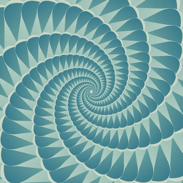 Dans Géométrie Infinity Résumé Géométrique Fond Tourbillon Concentrique Des Coquillages — Image vectorielle