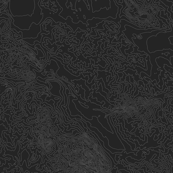 Vector soyut dünya yardım haritası. Kavramsal yükselme haritası oluşturuldu. Manzaranın yüzey yüksekliği iyonları. Coğrafi harita kavramsal tasarım. Sunumlar için zarif arkaplan.