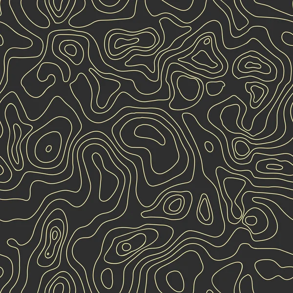 Carte Vectorielle Abstraite Relief Terre Motif Sans Couture Carte Conceptuelle — Image vectorielle