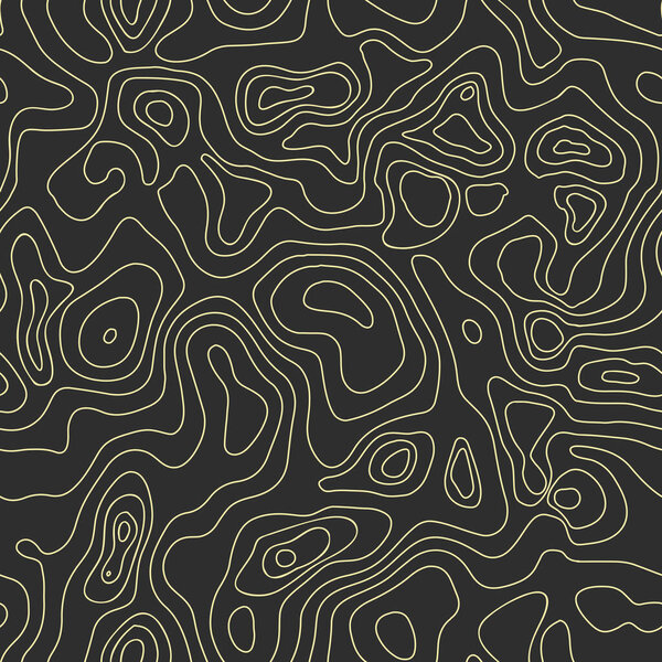 Vector abstract earth relief map seamless pattern. Generated conceptual elevation map. Isolines of landscape surface elevation. Geographic map conceptual design. Elegant background for presentations.