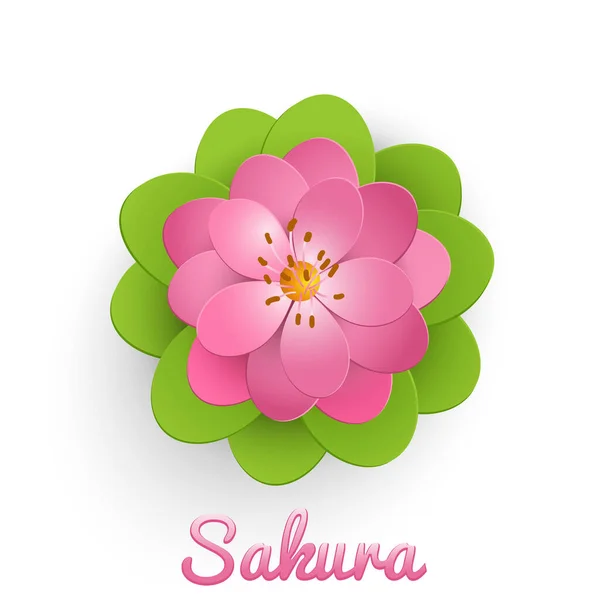 Fiore Sakura Tagliato Con Carta Isolata Vettoriale Con Foglie Verdi — Vettoriale Stock