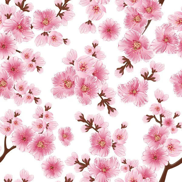 Vektor Sakura Blomma Sömlös Mönster Element Elegant Körsbärsblomma Konsistens För — Stock vektor