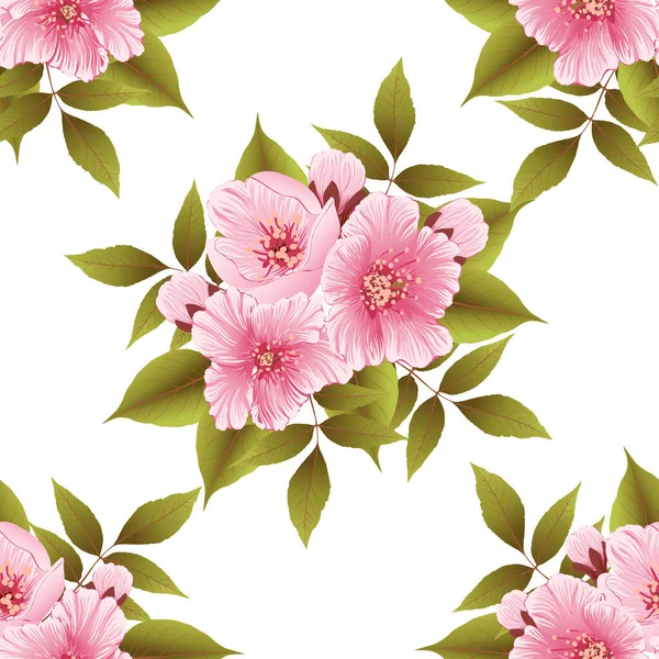 Vector Sakura Flor Sem Costura Elemento Padrão Textura Elegante Flor — Vetor de Stock