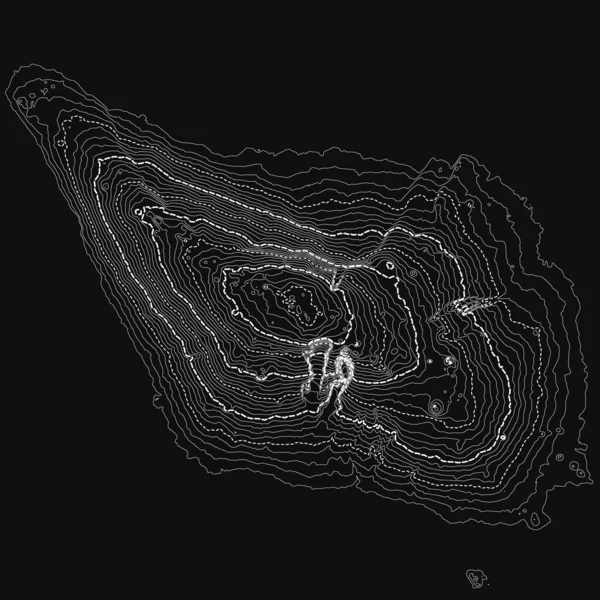 Vector Abstracte Grijswaarden Aarde Reliëf Kaart Gegenereerde Conceptuele Hoogtekaart Isolines — Stockvector