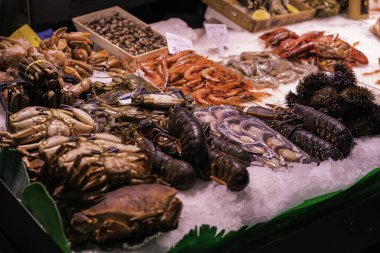 Barcelona 'da bir balık pazarında buzda karides, ekinos ve ıstakoz yığını. Taze sağlıklı deniz ürünleri.