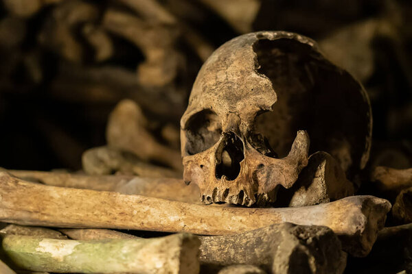 Skulls and bones in catacombs. Old broken skull placed on the bones. Underground cemetery.
