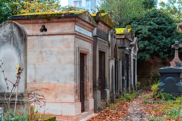 Париж Франция Ноября 2019 Вид Осеннюю Аллею Самого Знаменитого Кладбища — стоковое фото