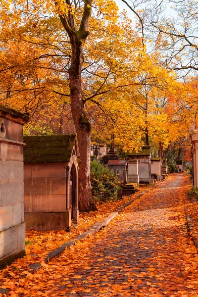 Paris France November 2019 View Autumn Alley Most Famous Cemetery — Stock Photo, Image