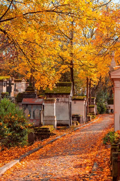 Parigi Francia Novembre 2019 Veduta Sul Vicolo Autunnale Del Cimitero — Foto Stock