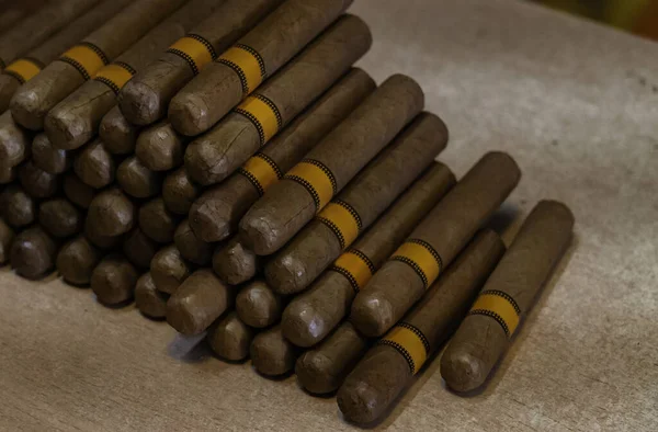 कुबान सिगार लाकडी टेबलवर बंद करतात. सिगरेट गुच्छाचे साइड दृश्य. दुकानात हाताने तयार केलेले सिगार . — स्टॉक फोटो, इमेज