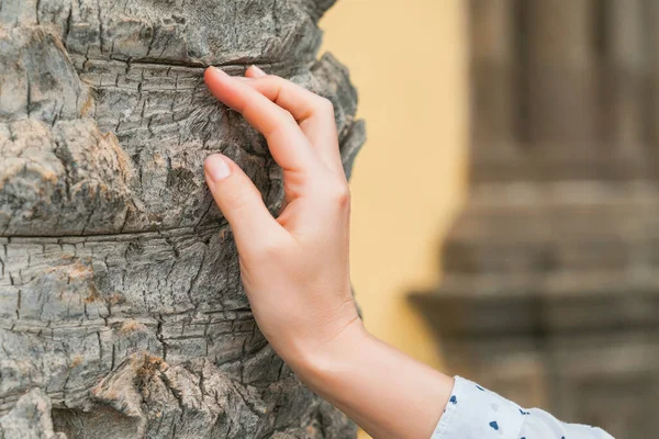Woman hand on palm tree trunk. Concept of environment protection, nature care. Closeup image of girl palm touching tree bark. Ecology and active lifestyle