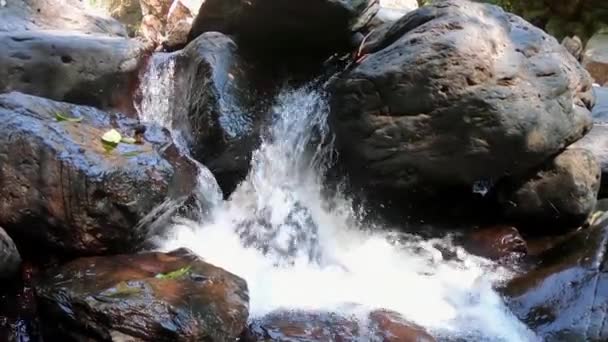 Уникальное Видео Показывает Уникальную Природу Тайских Джунглей Видео Снято Водопаде — стоковое видео