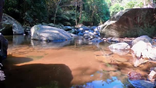 Deze Unieke Video Toont Unieke Natuur Thaise Jungle Video Gemaakt — Stockvideo