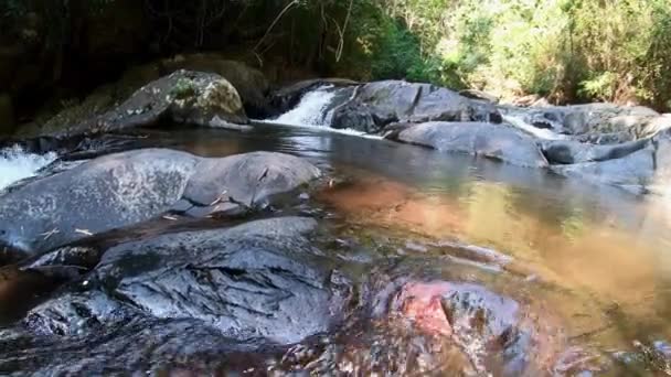 Deze Unieke Video Toont Unieke Natuur Thaise Jungle Video Gemaakt — Stockvideo