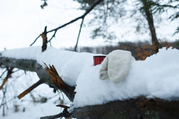 Palčák a hrnek z termosky stojí ve sněhu na stromě. — Stock fotografie