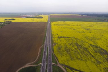 Çiçek açan bir tarlanın, ormanın, yolun üst manzarası. Uzakta...
